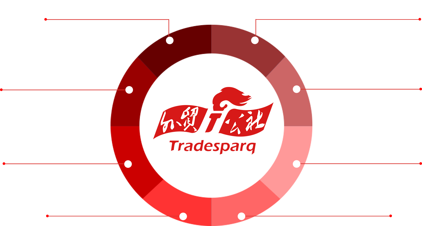 全球最大的以交易型大数据、全球在线产品数量第三大跨境电商平台、国家高新技术企业